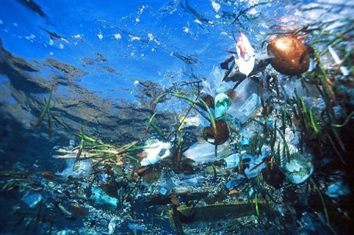 Экологический след производства пластиковых пакетов